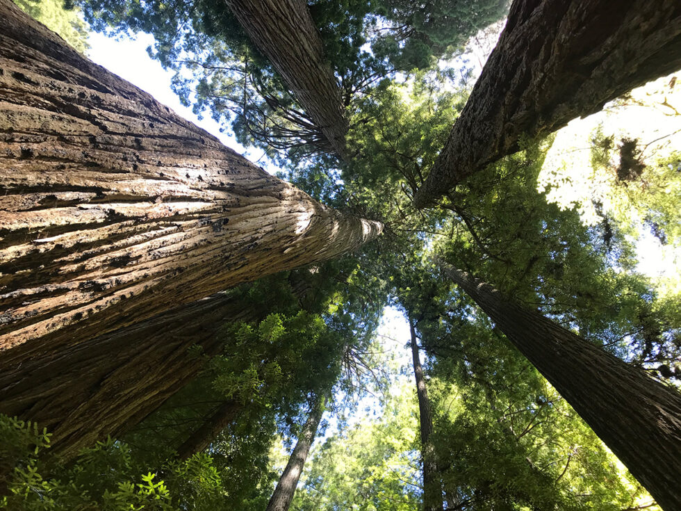 Greatest Worth Calvary Bible Church