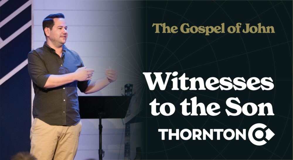 The Gospel of John: Witnesses to the Son Image