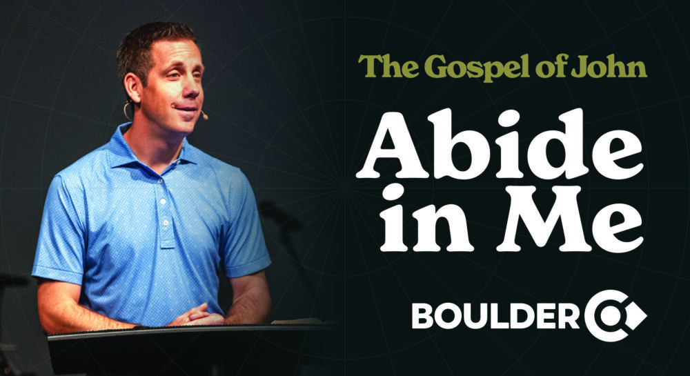 The Gospel of John: Abide in Me Image